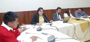 La directora del SRI, Marisol Andrade, explic&oacute; a los legisladores de la Comisi&oacute;n de Fiscalizaci&oacute;n las irregularidades.