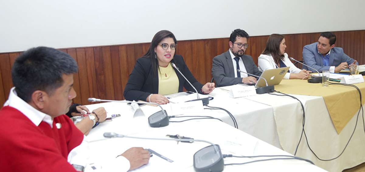 La directora del SRI, Marisol Andrade, explic&oacute; a los legisladores de la Comisi&oacute;n de Fiscalizaci&oacute;n las irregularidades.