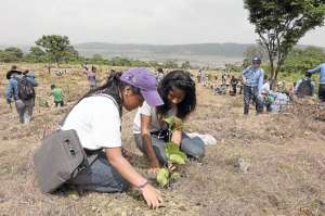 G&eacute;nesis Caiche y Cristina Flores del grupo scout 30 siembran una de las plantas. Foto: Alfredo Piedrahita | El Tel&eacute;grafo