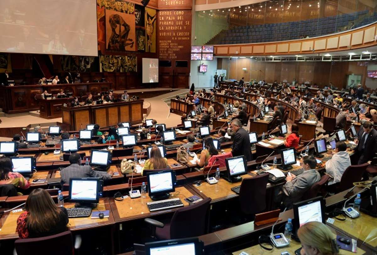 Foto: Archivo / El TEL&Eacute;GRAFO