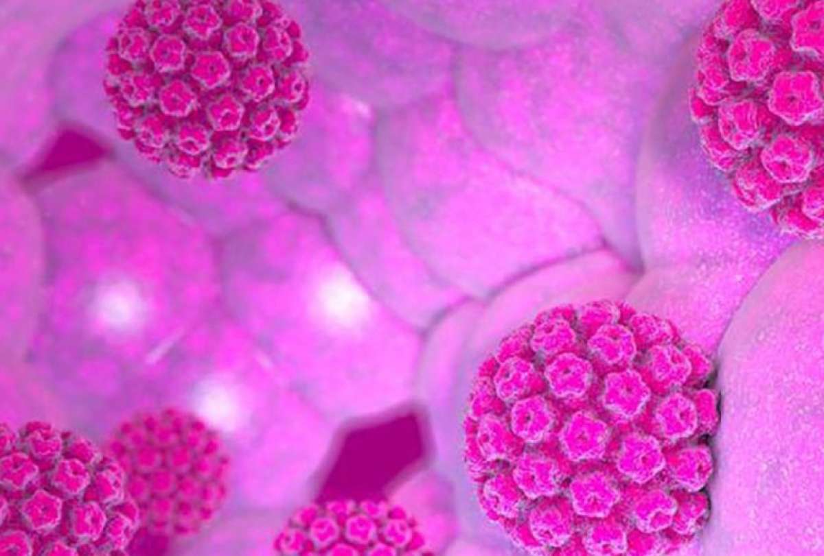 Cinco mitos y verdades sobre el Virus del Papiloma Humano