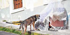 Pepe Jos&eacute; duerme en el sill&oacute;n que fue habilitado en la calle. Todos los d&iacute;as recibe comida. Foto: Santiago Aguirre / El Tel&eacute;grafo