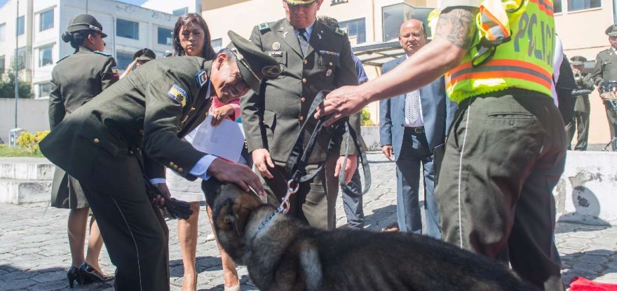 Uno de los gu&iacute;as recibi&oacute; a su can, durante la ceremonia de retiro de los perros polic&iacute;as.