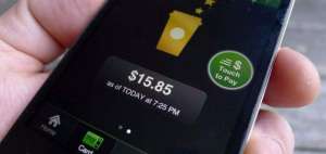 Las compras v&iacute;a celular tambi&eacute;n son un blanco com&uacute;n para los piratas inform&aacute;ticos. 