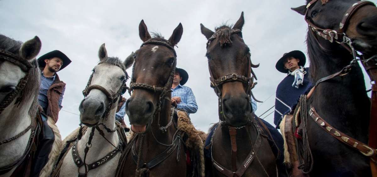 Chagras de todo el pa&iacute;s cabalgan en Rumi&ntilde;ahui