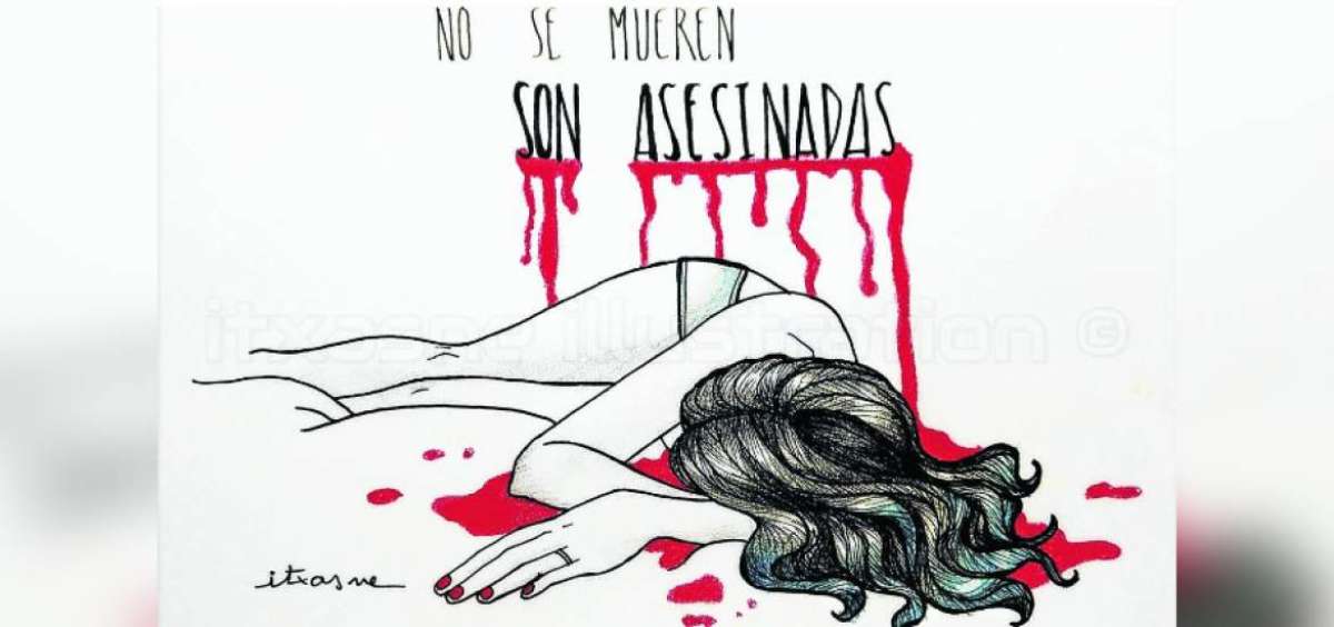 La organizaci&oacute;n se constituy&oacute; hace 3 a&ntilde;os. Su eje de lucha son los derechos de las mujeres y otras minor&iacute;as que sufren de violencia.