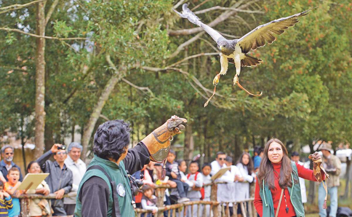Foto: Fernando Machado/El Tel&eacute;grafo