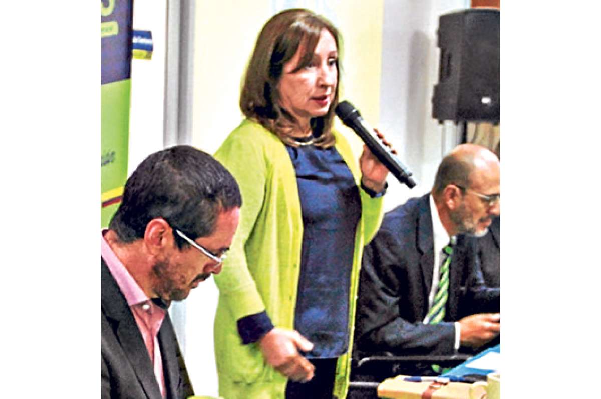 Movimiento PAIS delinea estrategia  para el 2015  