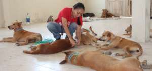 En el censo realizado por Rescate Animal hallaron 150 perros. Poco a poco los est&aacute;n operando.