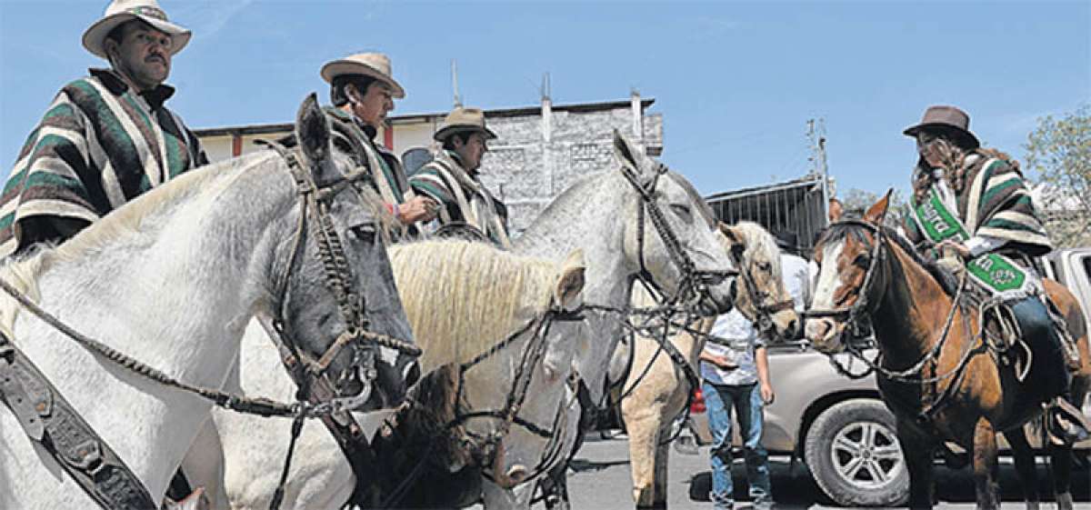 En el sentido end&oacute;geno para el conquistador, el caballo era el referente de la hidalgu&iacute;a. Hay una resemantizaci&oacute;n porque los villanos de Espa&ntilde;a se volvieron sorpresivamente caballeros en Am&eacute;rica. Foto: ROBERTO CHAVEZ |  El Tel&eacute;grafo