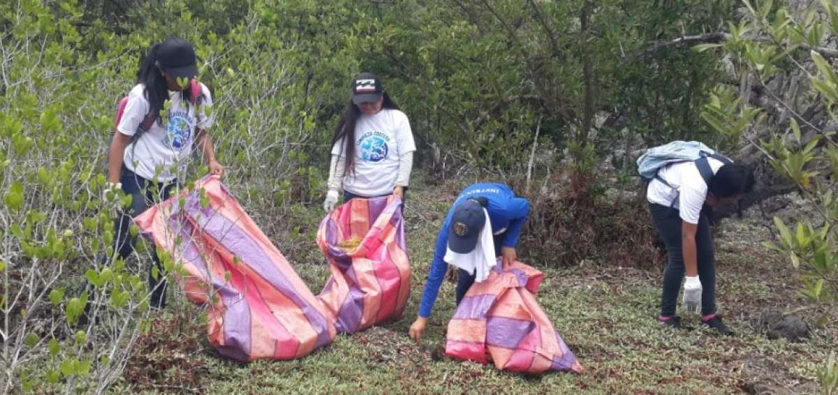 El 47,47 % de los hogares ecuatorianos clasific&oacute; los residuos durante 2017.