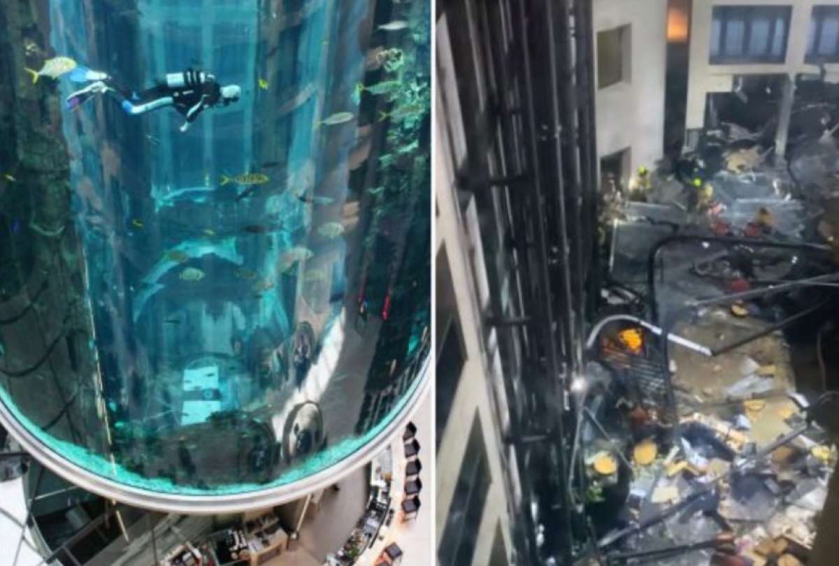 Acuario estalla en un hotel de Berlín y deja 1500 peces esparcidos por el piso