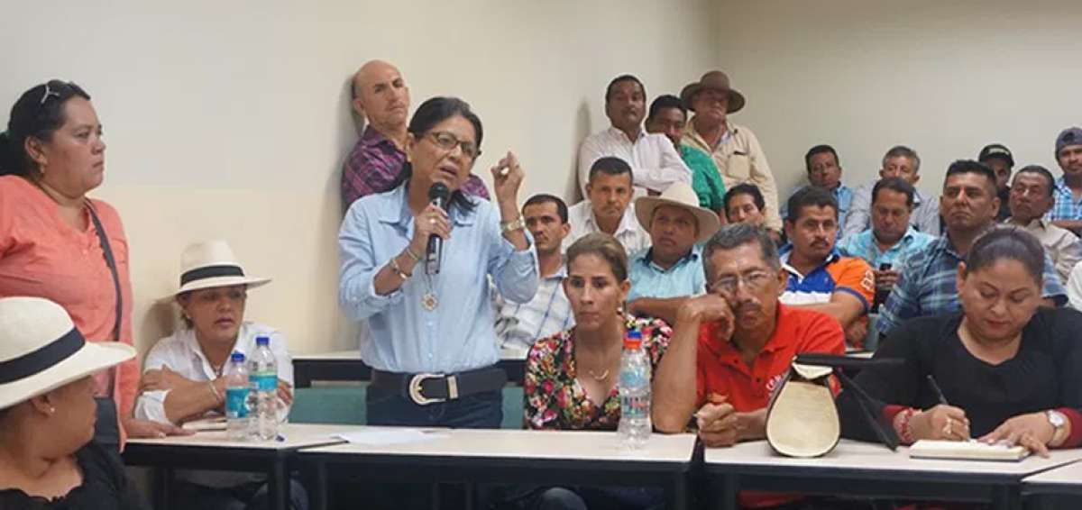 La Corporaci&oacute;n Nacional de Productores Arroceros re&uacute;ne a 10.000 productores de Guayas, Los R&iacute;os, El Oro y Manab&iacute;. 