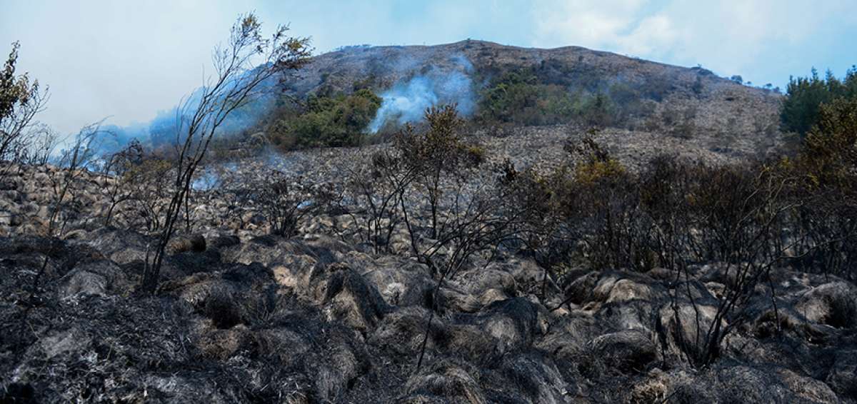 Pajonales, &aacute;rboles de pino y cultivos de morti&ntilde;o se destruyeron debido a un incendio en el tope del cerro Atacazo, entre Quito y Mej&iacute;a.