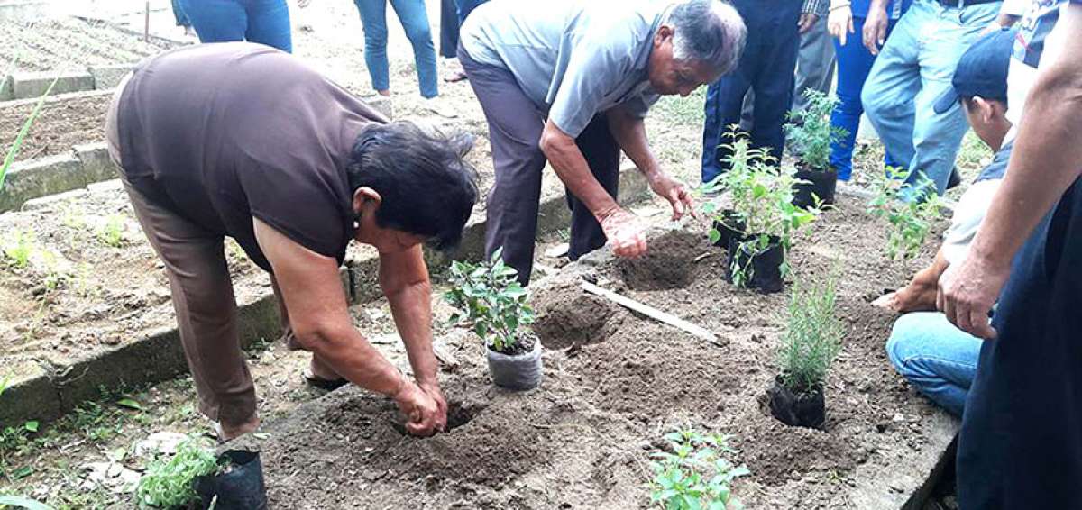 Las personas de la tercera edad han encontrado un espacio para poder pasar su tiempo en Machala.