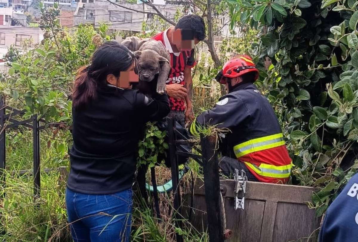 Bomberos de Quito rescataron a un joven y su mascota de una quebrada