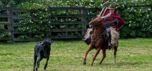 Las habilidades sobre el caballo, como el lazado de ganado al galope, son las principales caracter&iacute;sticas del personaje conocido como chagra.