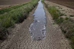 California ha venido sufriendo una sequ&iacute;a extrema desde hace 4 a&ntilde;os. FOTO: Internet 