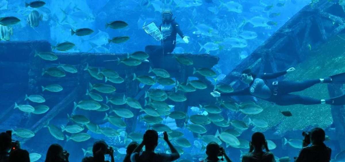 Actualmente se conoce menos del 10% del relieve de los fondos marinos m&aacute;s all&aacute; de los 200 metros de profundidad.