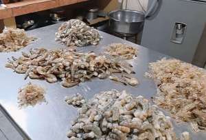 La ARCSA clausuró un chifa en Chunchi. En el sitio preparaban la comida entre plagas e insalubridad. 