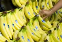 Rueda de Negocios de Banano generó $ 54 millones