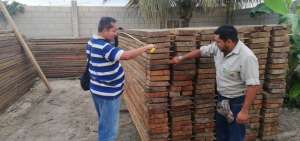 T&eacute;cnicos del Ministerio del Ambiente calculan la cantidad de madera confiscada. 