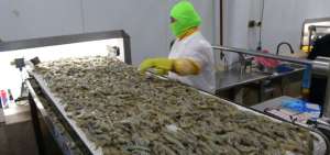 Ecuador y China suscriben protocolo para facilitar la exportaci&oacute;n de camar&oacute;n