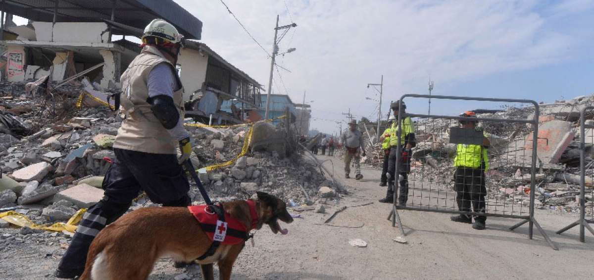 El terremoto que asol&oacute; parte de Manab&iacute; revel&oacute; la informalidad de las construcciones.