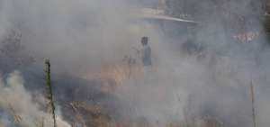 Gu&iacute;a forestal del Parque Metropolitano en Quito fue atacado