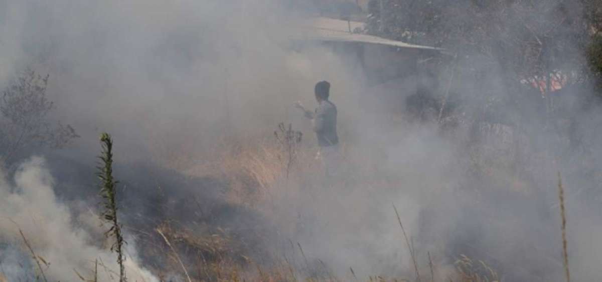 Gu&iacute;a forestal del Parque Metropolitano en Quito fue atacado