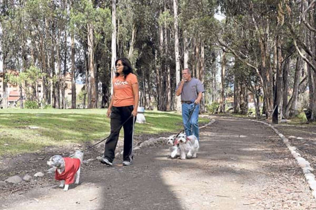 Las personas, de acuerdo con la ordenanza, tienen la obligaci&oacute;n de recoger los desechos de sus mascotas, caso contrario recibir&aacute;n sanciones. FOTO: JOS&Eacute; LUIS LLIVISACA.