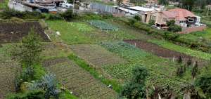 Los productos agr&iacute;colas son los primeros afectados con las llamadas &ldquo;heladas&rdquo; que caen en la madrugada.