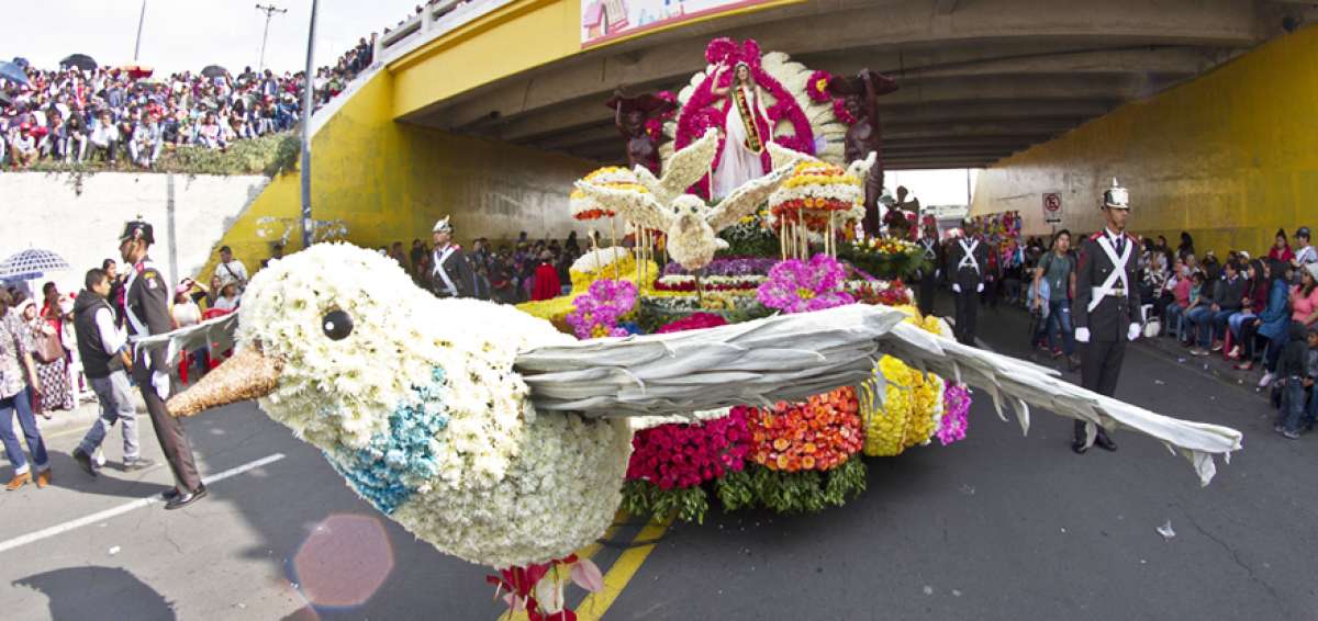  El carro aleg&oacute;rico de la reina de Ambato, Carla Medrano, abri&oacute; el alegre desfile. El recorrido inici&oacute; ayer desde las 09:00 en la avenida Cevallos, recorri&oacute; 15 cuadras de la urbe y dur&oacute; cerca de tres horas.