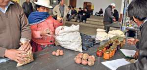 El yogur, la mermelada y las arepas son hechos a base de oca, un tub&eacute;rculo que se cultiva por encima de los 2 mil metros sobre el nivel del mar, en el Ca&ntilde;ar. Foto: Fernando Machado / El Telegrafo