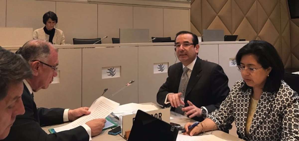 Casinelli durante su ponencia referente a las salvaguardias.