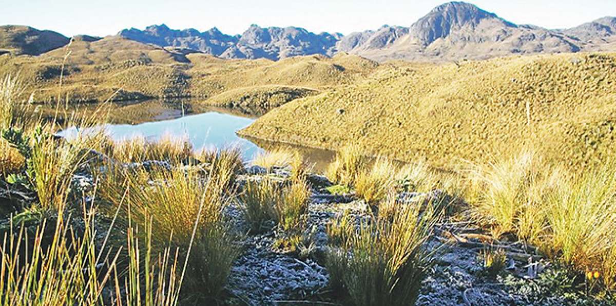 El nombre del Parque Nacional El Cajas proviene de la palabra quichua &lsquo;caxas&rsquo; que significa fr&iacute;o. Foto: Archivo / El Tel&eacute;grafo