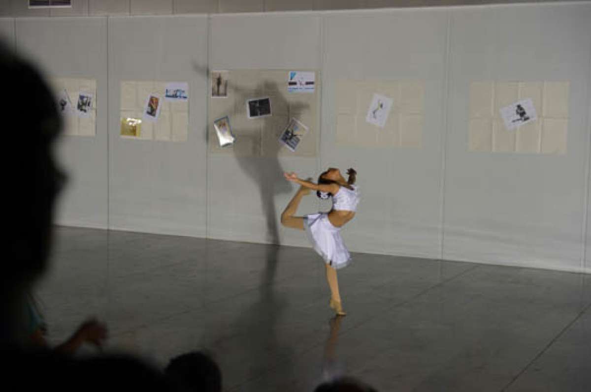 Grupos de varias urbes festejaron D&iacute;a de la Danza  