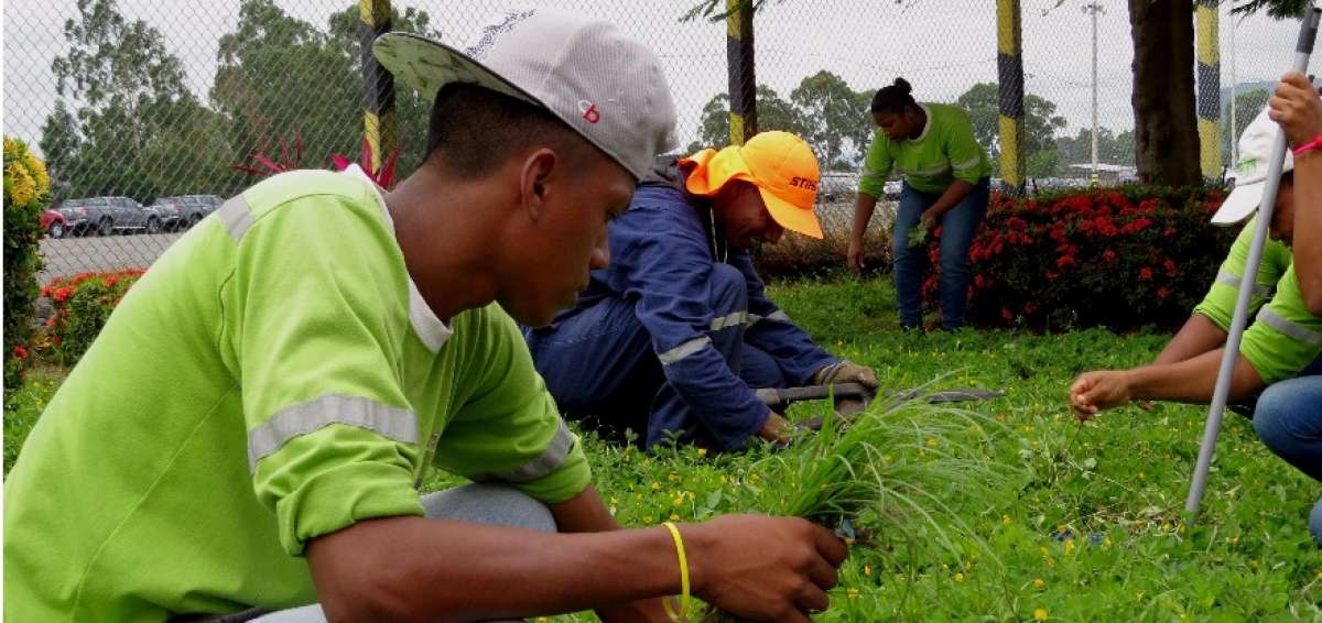 Emprendedores de la  Asociaci&oacute;n Limpieza Recuper&aacute;ndonos Unidos adecentan espacios verdes en la Autoridad Portuaria de Esmeraldas.