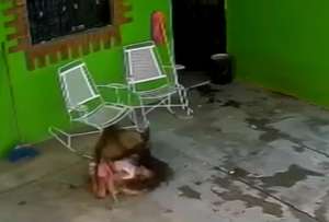 La ni&ntilde;a fue atacada por un perro y fue hospitalizada