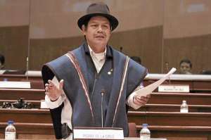 De la Cruz espera funciones claras en Parlamento del Sur         