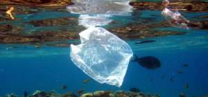Los pl&aacute;sticos en los mares causan da&ntilde;o al ecosistema.