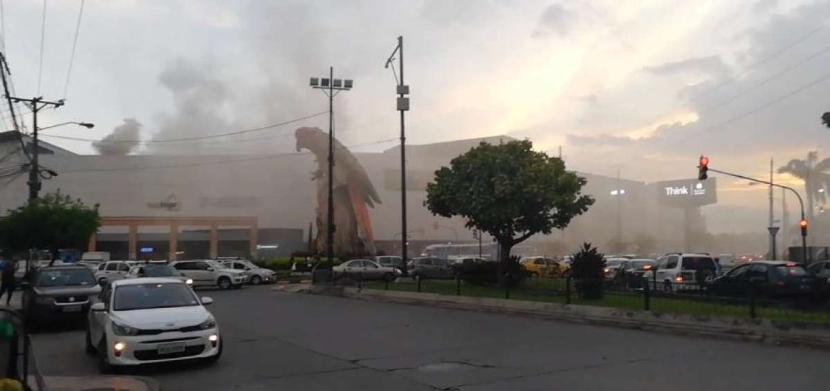 El humo blanco brot&oacute; de varias partes del centro comercial.