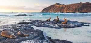 National Geographic finaliza su expedici&oacute;n por las Gal&aacute;pagos