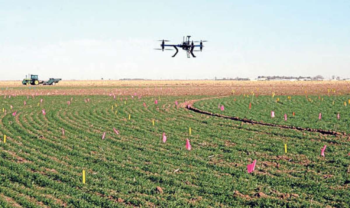 El informe elaborado por el MIT explic&oacute; que el uso de drones en la agricultura ha permitido que los productores tengan m&aacute;s controles sobre las plantaciones y las plagas. Tomada de www.masquemaquina.com