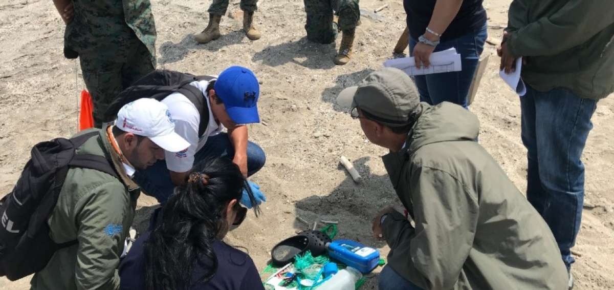 Estudiantes participan en la recolecci&oacute;n de desechos en las playas para el muestreo sobre la presencia de elementos nocivos.