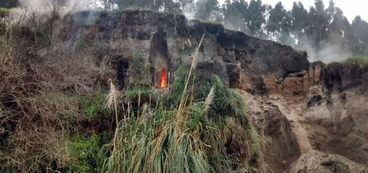 El fuego y los gases se observan en la ladera e incluso algunos &aacute;rboles se desplomaron tras quemarse sus ra&iacute;ces.
