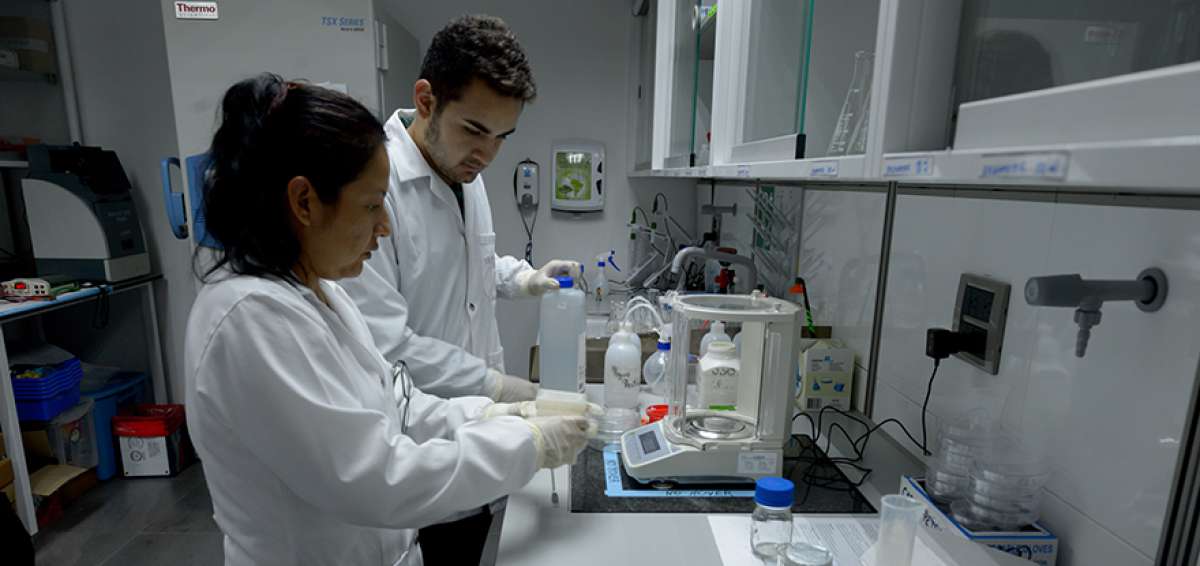 Los nuevos espacios est&aacute;n destinados para los alumnos de carrera y para los investigadores. El objetivo es que Yachay sea un centro de posgrados.