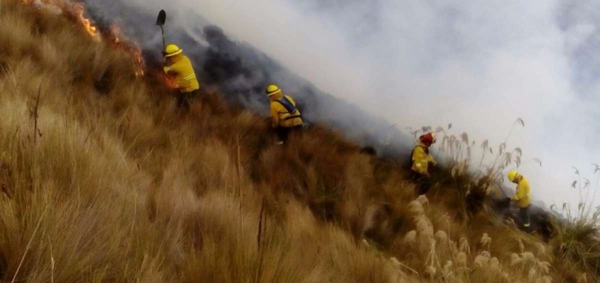Bomberos durante la sofocaci&oacute;n del fuego.