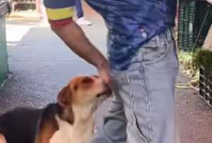 El momento qued&oacute; registrado en video y r&aacute;pidamente se viraliz&oacute; en redes sociales.
