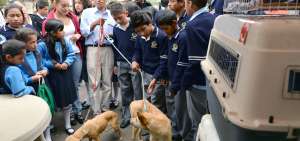 Besar a las mascotas es una de las acciones que facilita el contagio de enfermedades zoon&oacute;ticas.